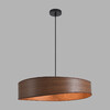 Миниатюра фото подвесной светильник lumion lagoma 8420/6a | 220svet.ru